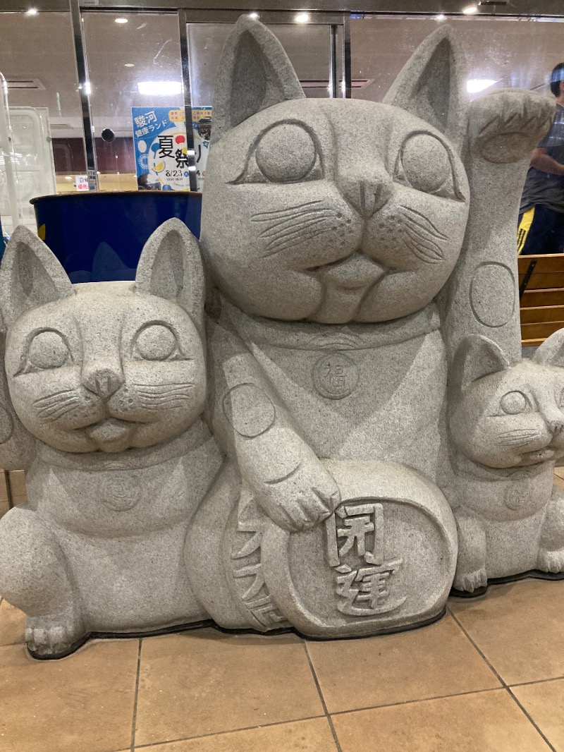 マツケンさんの駿河健康ランドのサ活写真