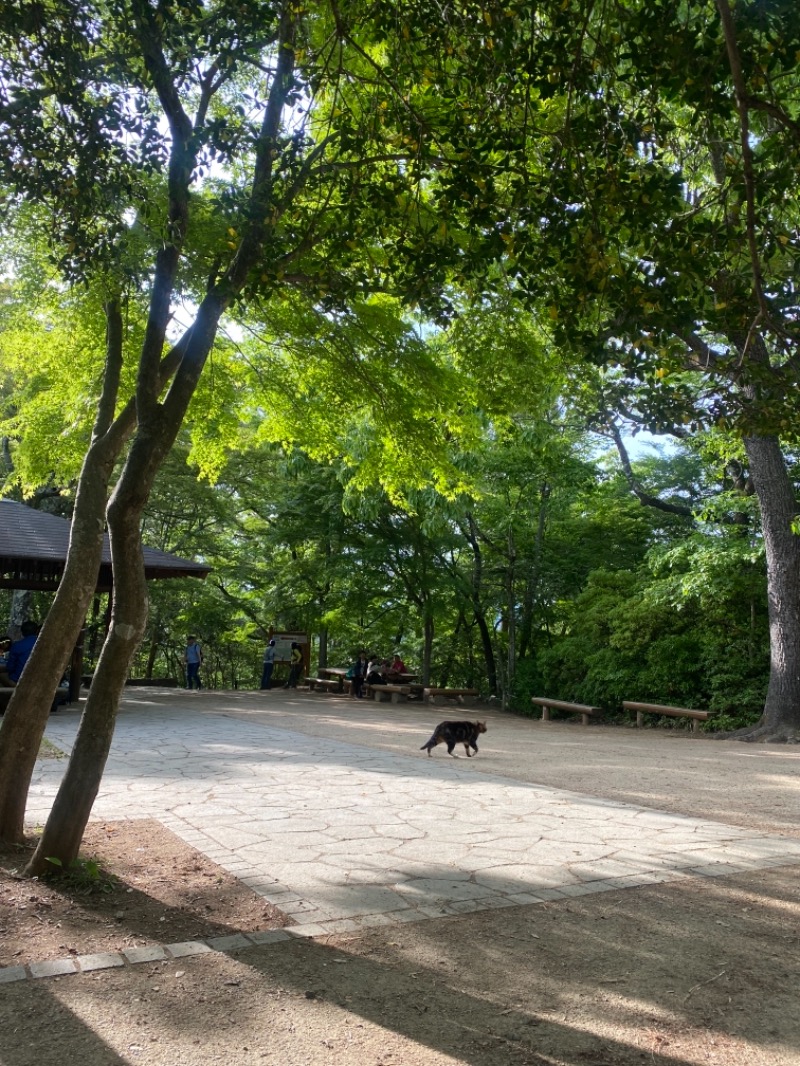 あまみちゃんさんの京王高尾山温泉 極楽湯のサ活写真