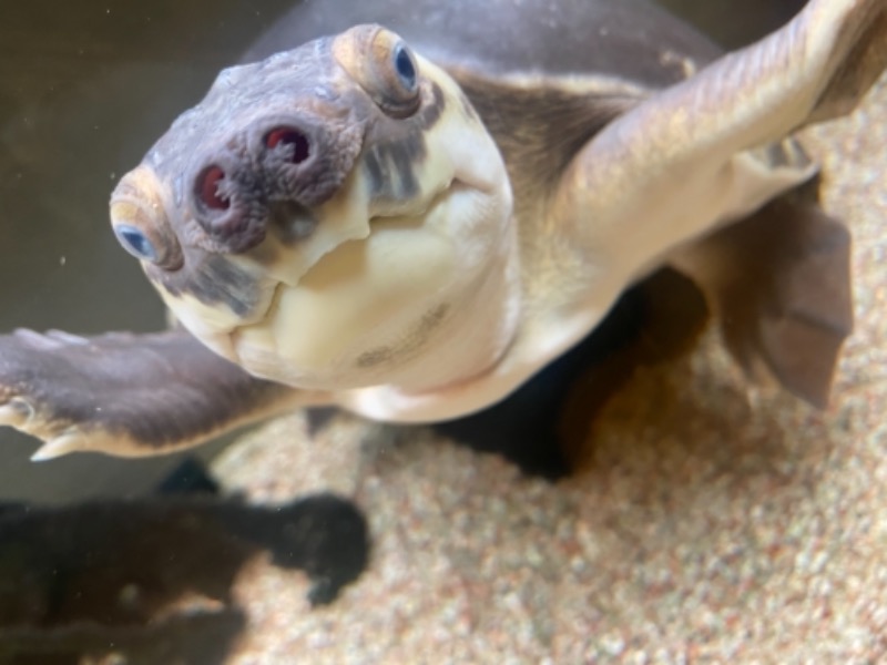 あまみちゃんさんの松本湯のサ活写真