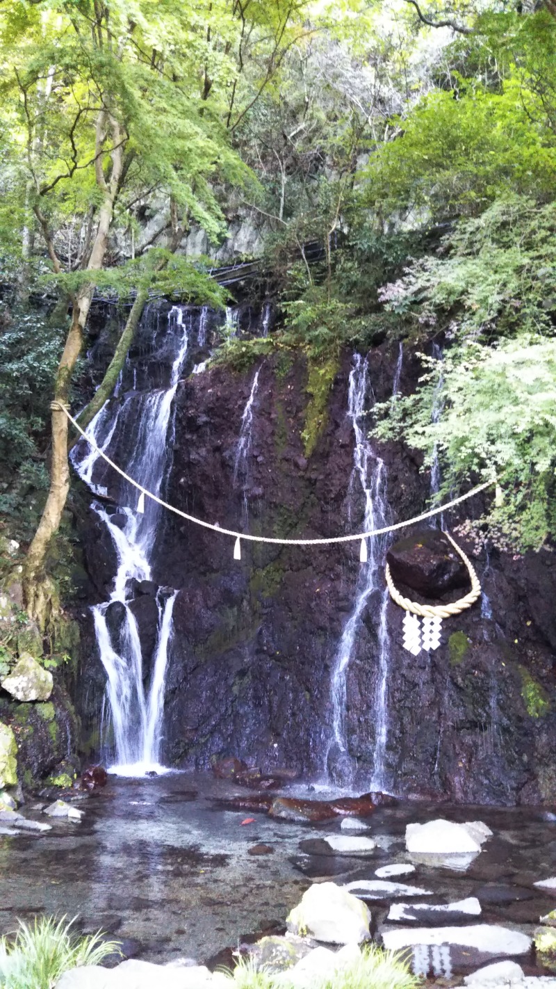 大トロ💖ラブさんの箱根湯本温泉 天成園のサ活写真