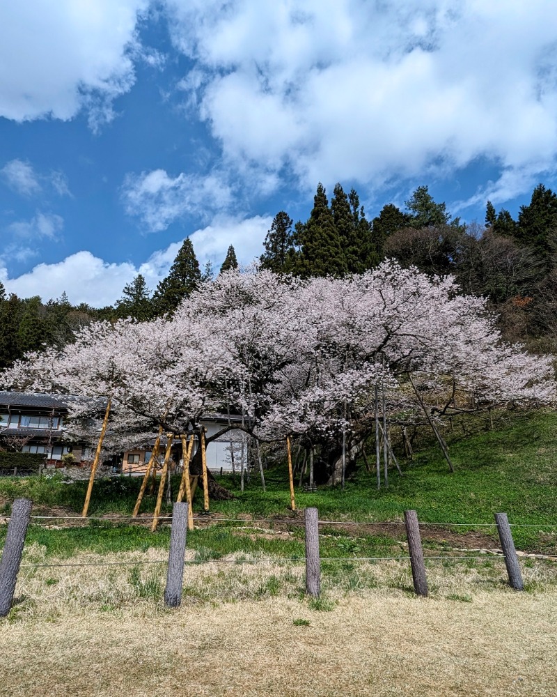 チロ的サウナ飯さんの飛騨高山 自家源泉の湯 臥龍の郷のサ活写真