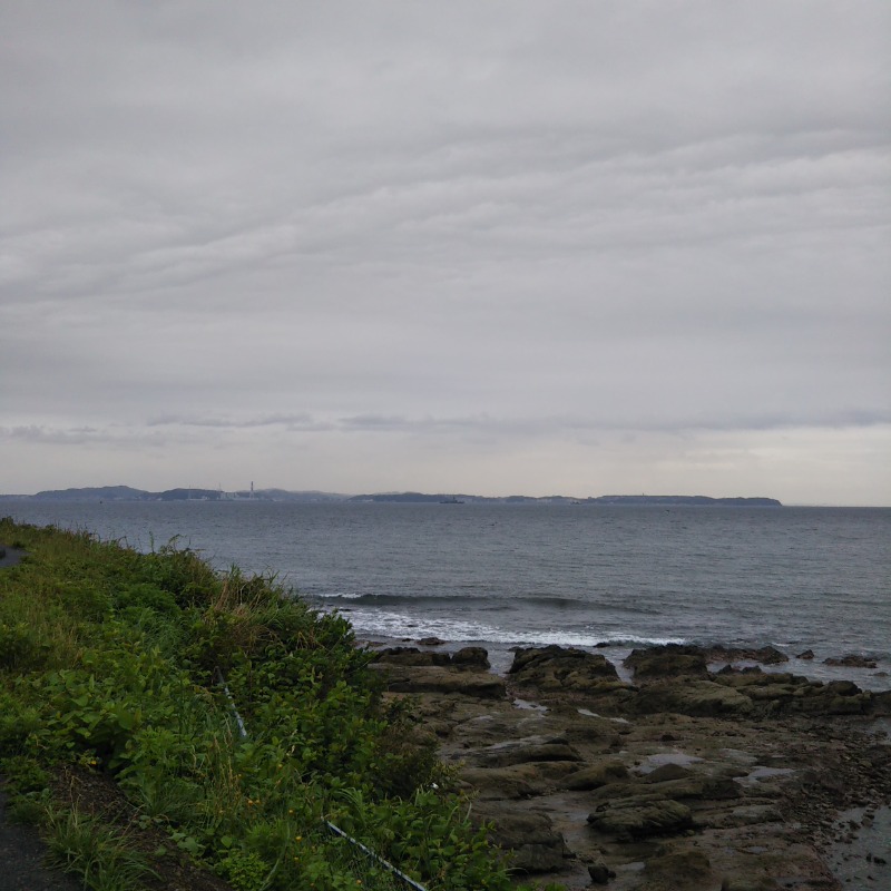 自由人さんの天然温泉 海辺の湯のサ活写真