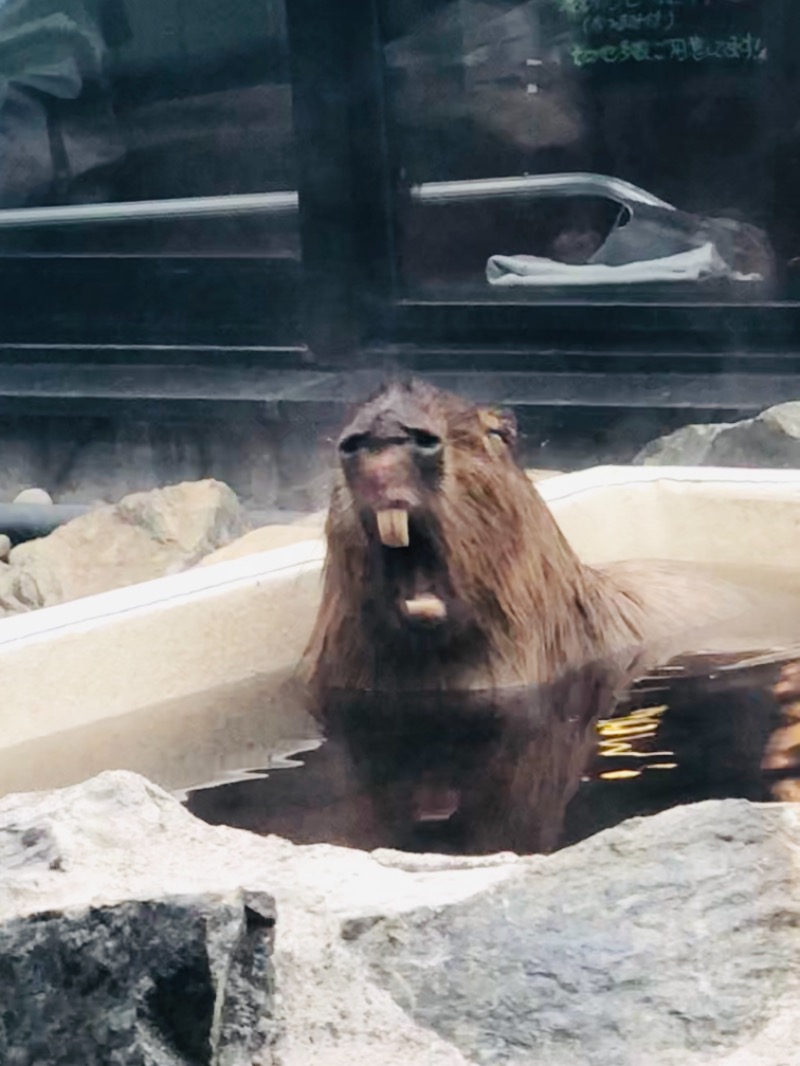 kazzcapy216さんの石狩天然温泉 番屋の湯のサ活写真