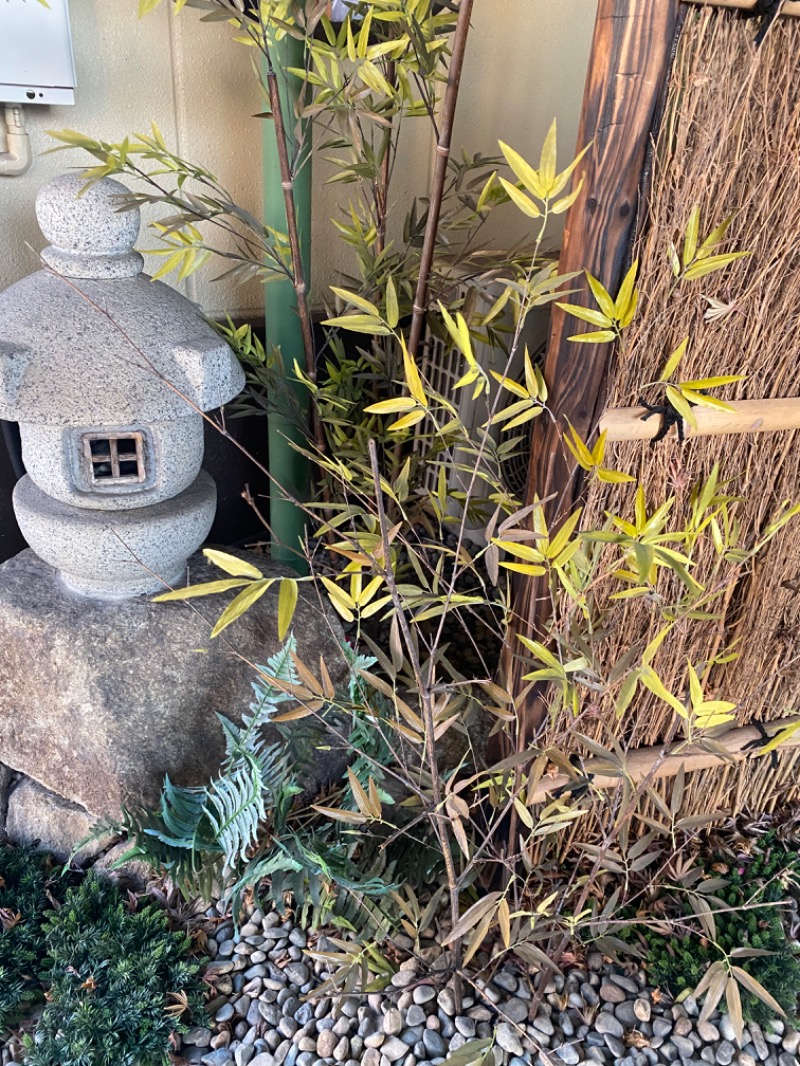 ひったんさんのスーパー銭湯 小山やすらぎの湯のサ活写真