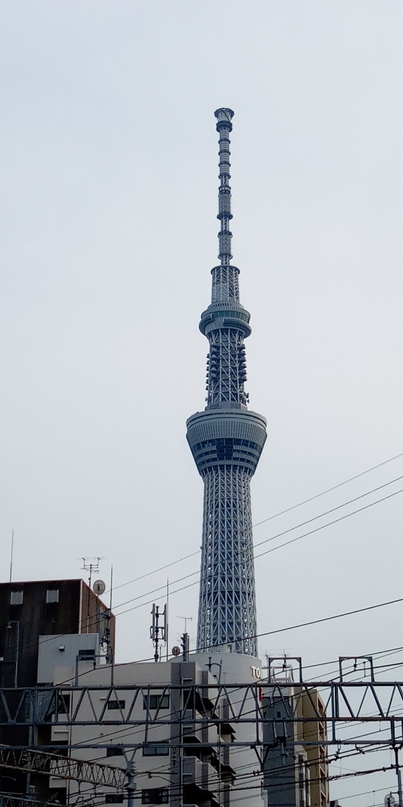 みそかつさんさんの寺島浴場のサ活写真