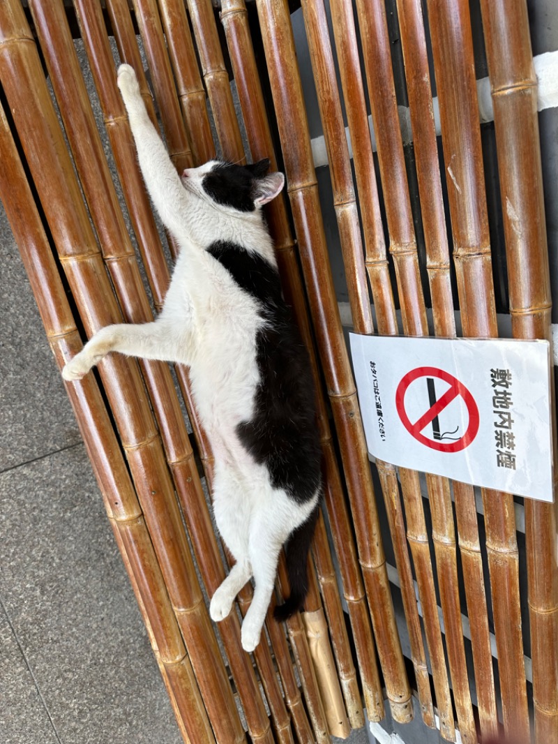 なおこ。さんの日奈久温泉センター ばんぺい湯&本湯のサ活写真