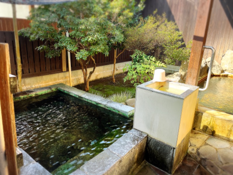 なおこ。さんの蘇傳寺温泉のサ活写真