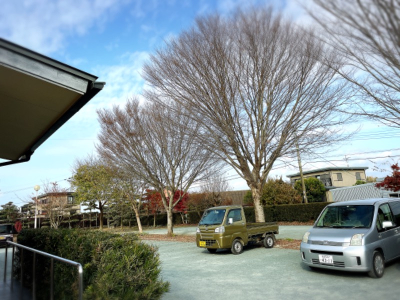 なおこ。さんの蘇傳寺温泉のサ活写真