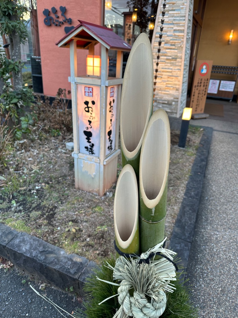 アセロラ下川さんのおふろの王様 花小金井店のサ活写真