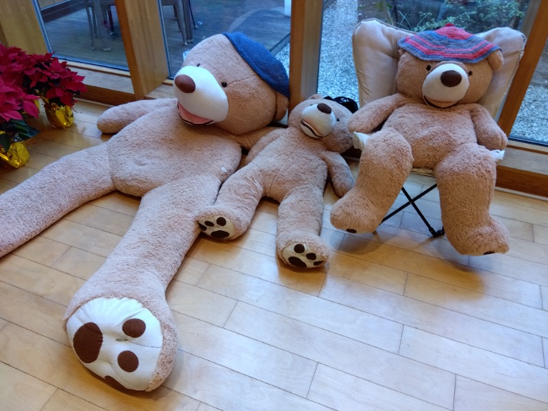 BSデカいひとさんの綱島源泉 湯けむりの庄のサ活写真