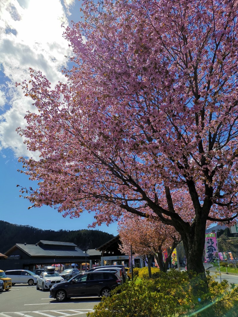 ときびとさんの大鰐町地域交流センター 鰐come(ワニカム)のサ活写真