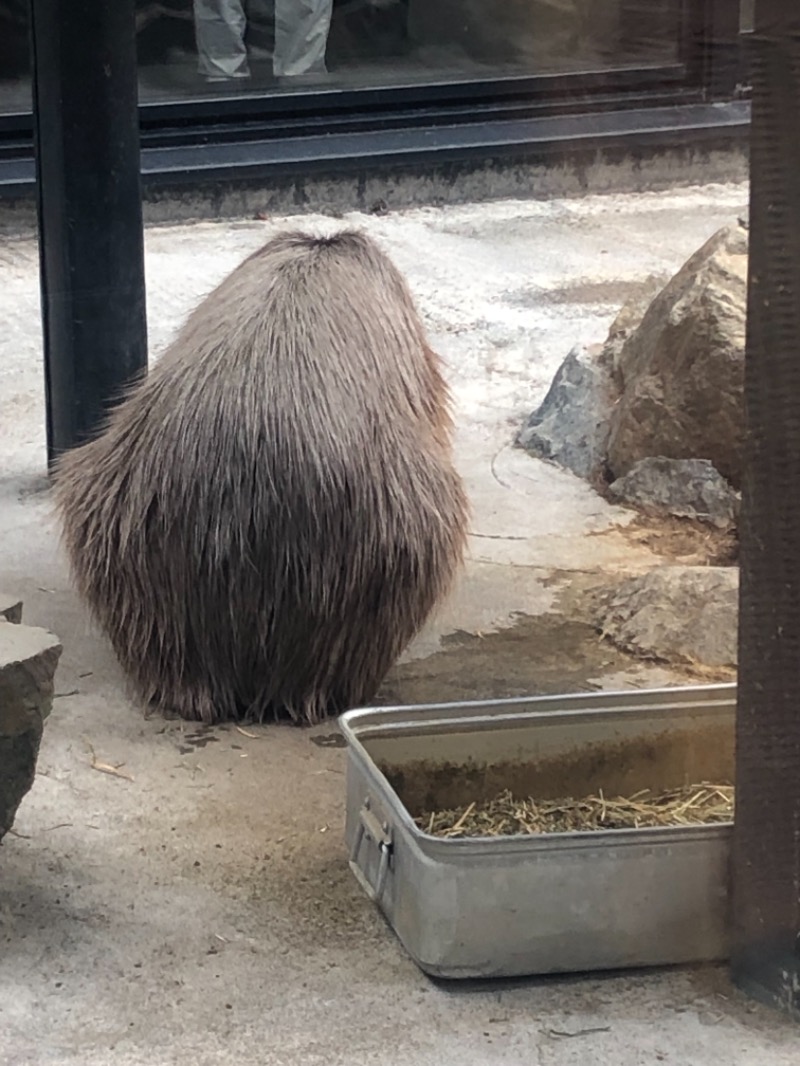 サライさんの石狩天然温泉 番屋の湯のサ活写真