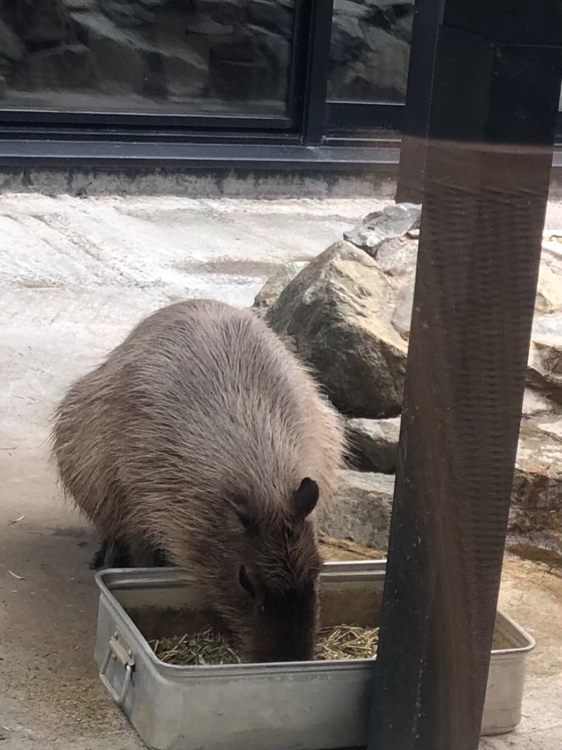 サライさんの石狩天然温泉 番屋の湯のサ活写真