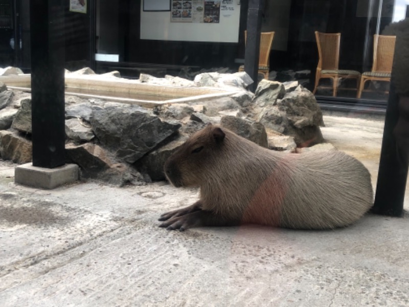 サライさんの石狩天然温泉 番屋の湯のサ活写真