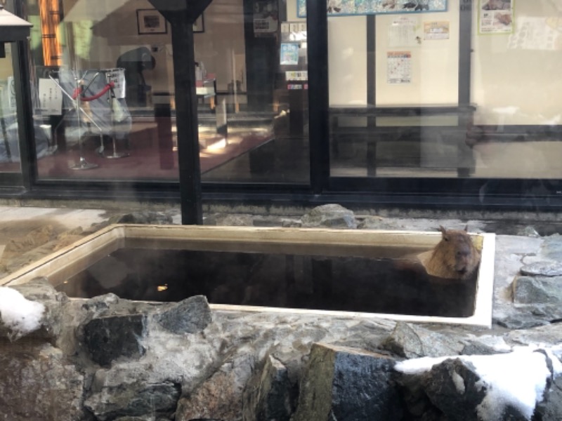 サライさんの石狩天然温泉 番屋の湯のサ活写真