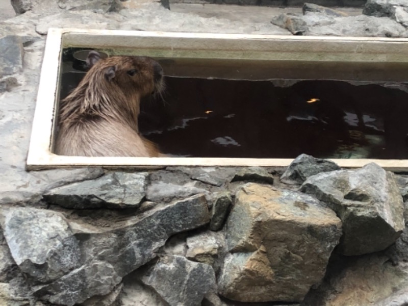 サライさんの石狩天然温泉 番屋の湯のサ活写真