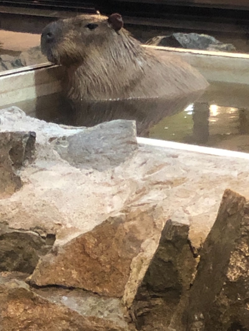 サライさんの石狩天然温泉 番屋の湯のサ活写真