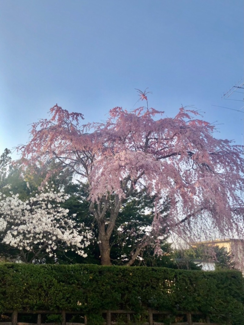 サライさんの湯処花ゆづきのサ活写真