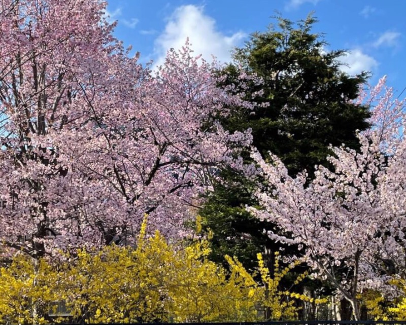 サライさんの湯処花ゆづきのサ活写真