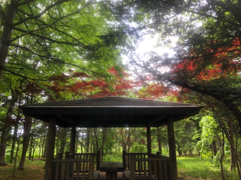 サライさんの森林公園温泉 きよらのサ活写真