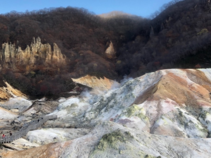 サライさんの温泉銭湯 夢元(ゆもと) さぎり湯のサ活写真