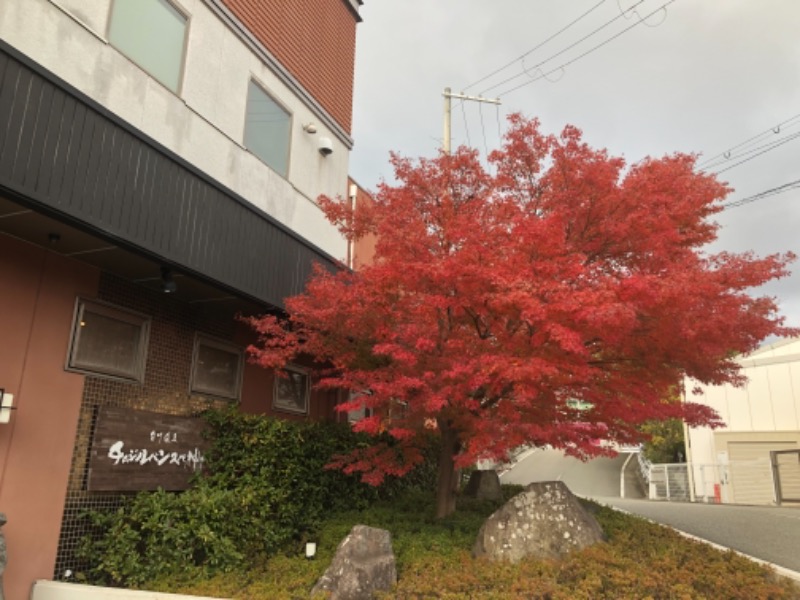 カギシュンさんの白川温泉チムジルバンスパ神戸のサ活写真