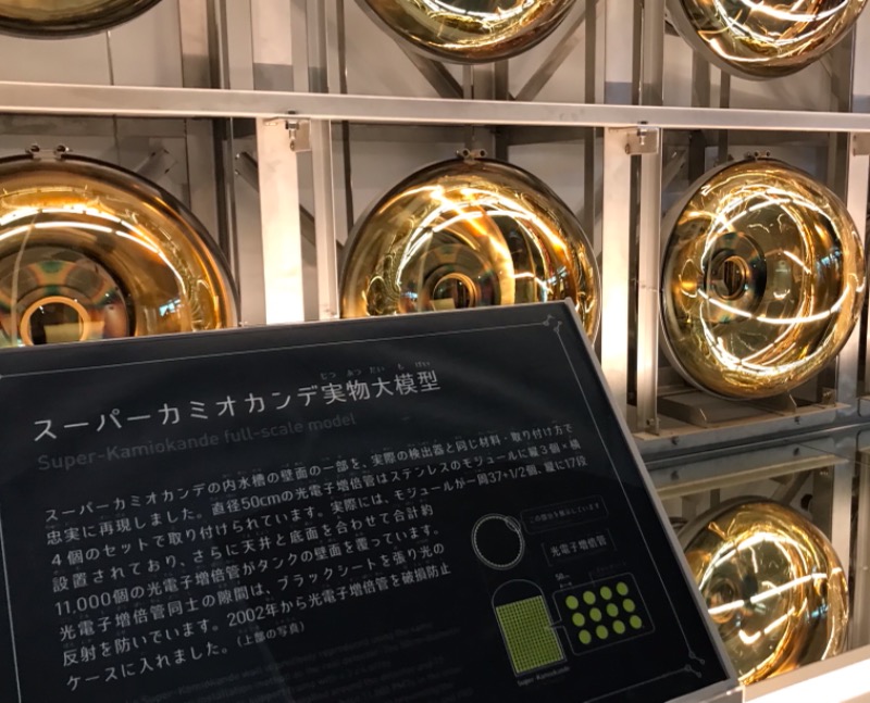 やきとりおさんの信州健康ランドのサ活写真