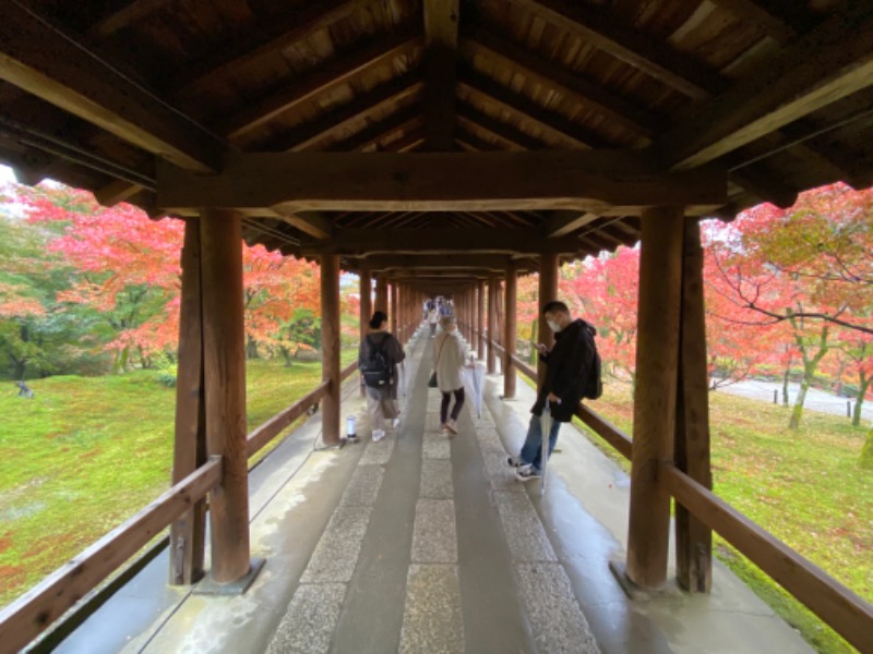 あまみさんの白山湯 六条店のサ活写真