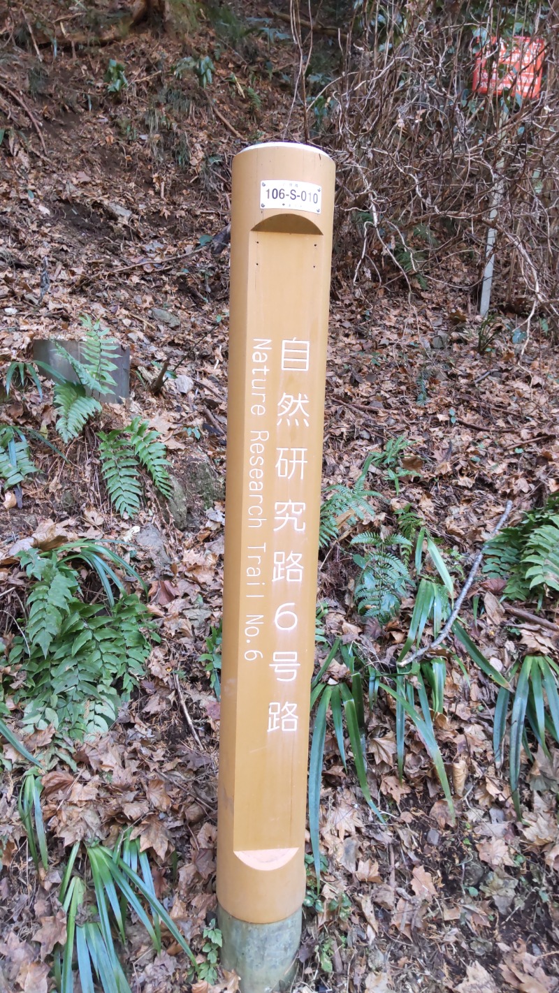 蒸豚Z🐷さんの京王高尾山温泉 極楽湯のサ活写真