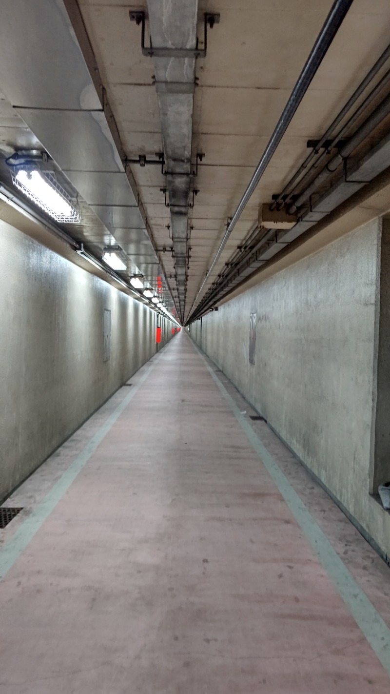 しんさんのCOCOFURO たかの湯のサ活写真