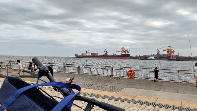 しんさんのCOCOFURO たかの湯のサ活写真