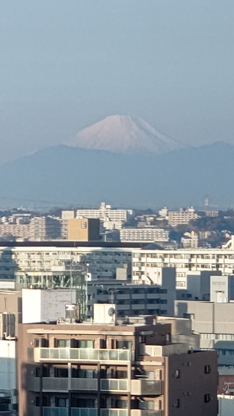 しんさんの扇浜の湯 ドーミーイン川崎のサ活写真