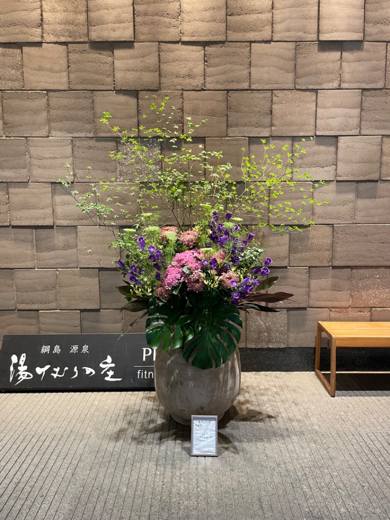 ericthekingさんの綱島源泉 湯けむりの庄のサ活写真