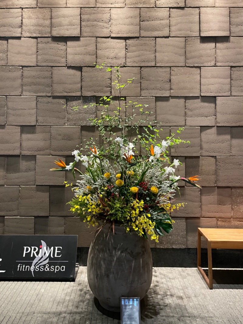 ericthekingさんの綱島源泉 湯けむりの庄のサ活写真