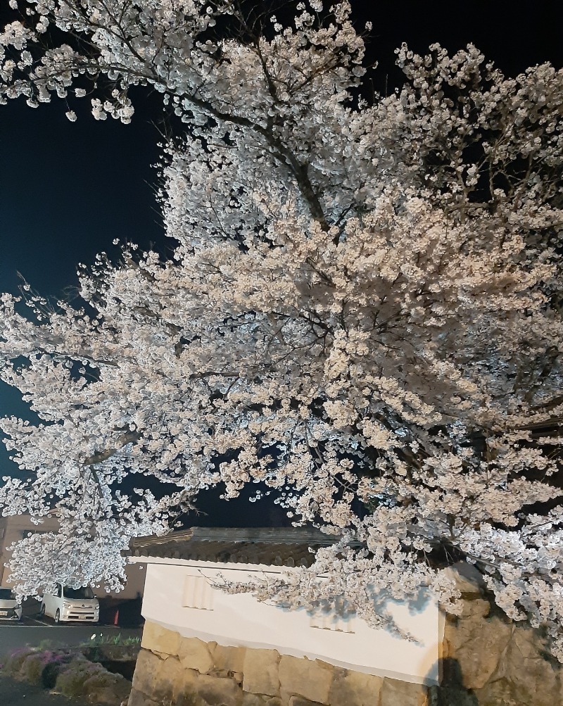 さうちゃんさんの福知山温泉 養老の湯のサ活写真