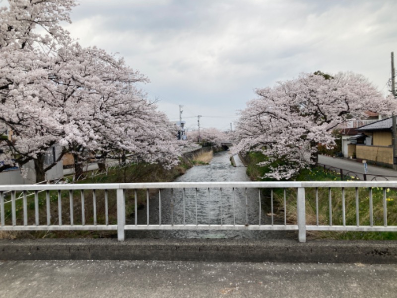 いまいさんのスパ・アルプスのサ活写真