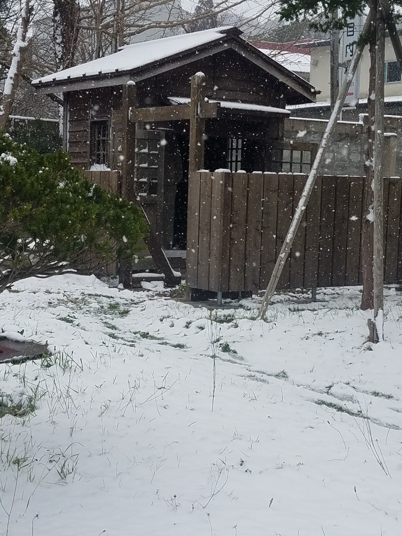 トンヌラ子さんの谷地頭温泉のサ活写真