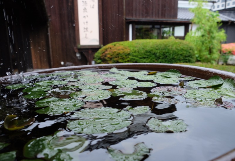 ぼっちゃん333さんのかつらぎ温泉 八風の湯のサ活写真