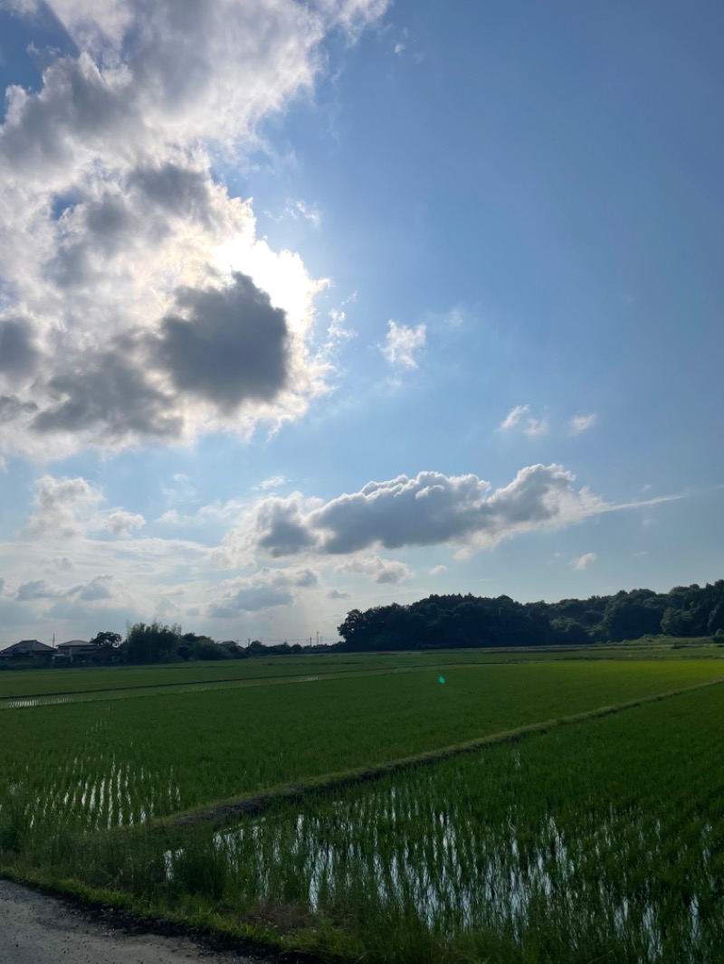 🧖‍♀️とある女子のサ活記録さんの成田の命泉 大和の湯のサ活写真