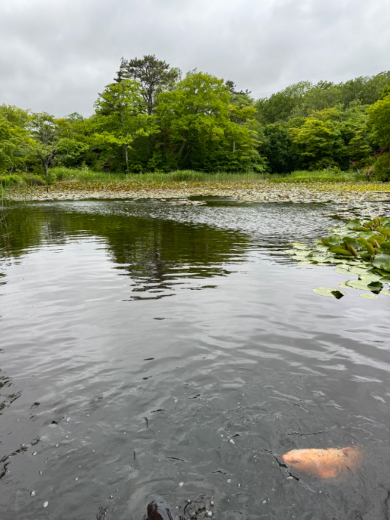 少年@札幌さんのえにわ温泉ほのかのサ活写真