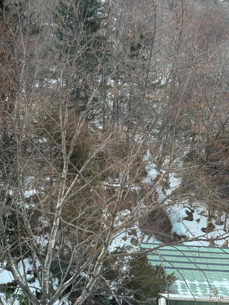 少年@札幌さんの登別温泉 登別グランドホテルのサ活写真