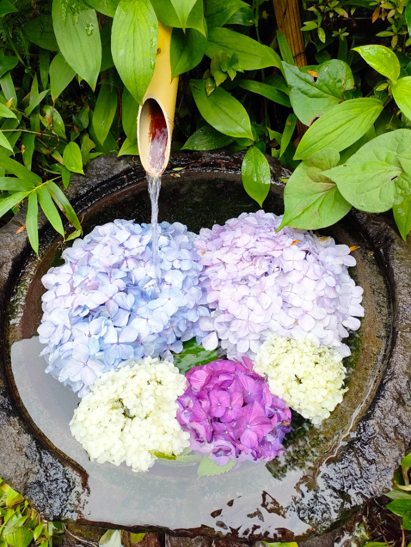 ゆずぽんずさんのいずみの湯 (ニューウェルシティ湯河原)のサ活写真