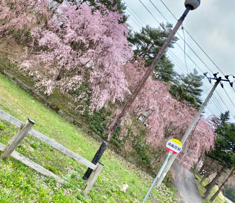 てぃー🦄🌼さんの清風荘のサ活写真