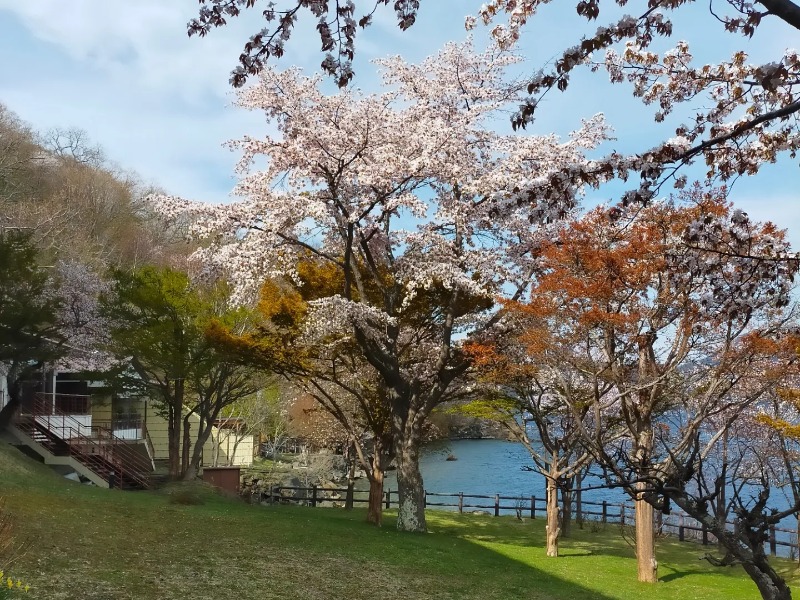 なんちゃってサウナーさんの湖畔の宿支笏湖 丸駒温泉旅館のサ活写真