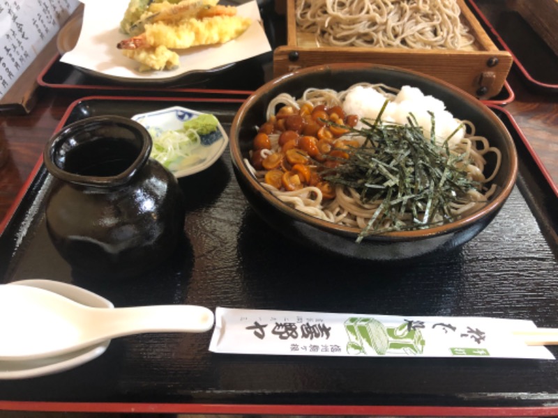 ソフトソックスソーダさんの信州駒ヶ根高原家族旅行村 露天こぶしの湯のサ活写真