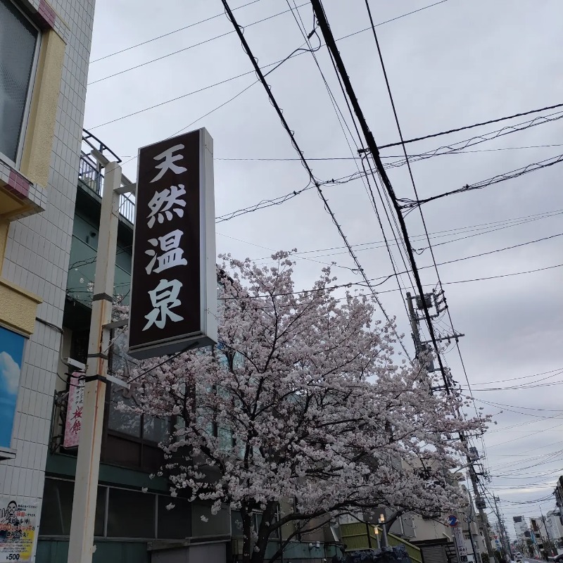 ありサさんの桜館のサ活写真