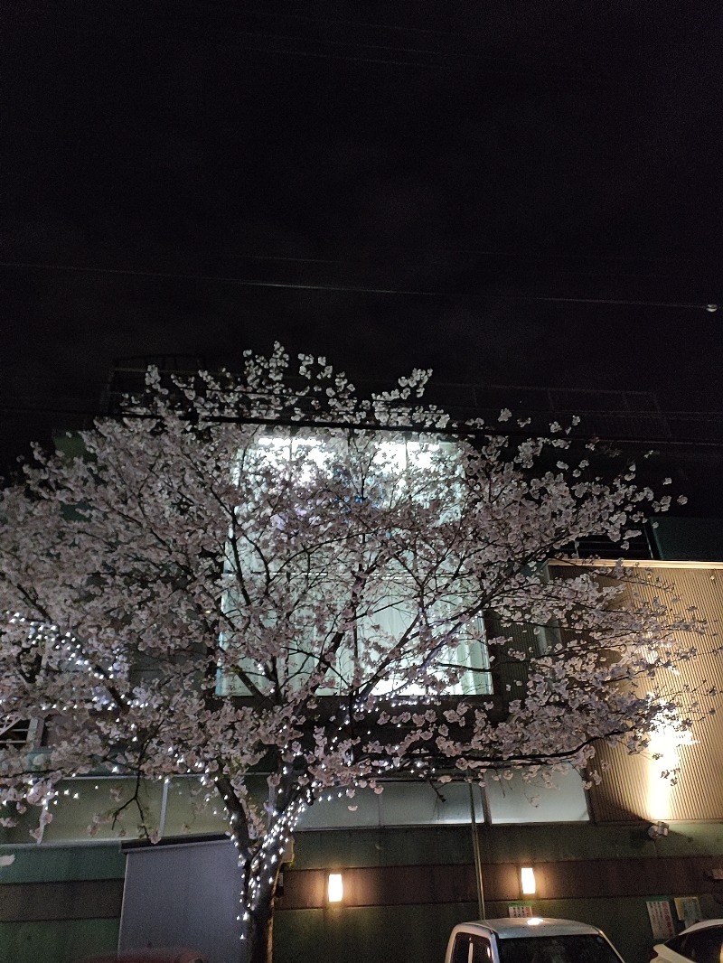 ありサさんの桜館のサ活写真