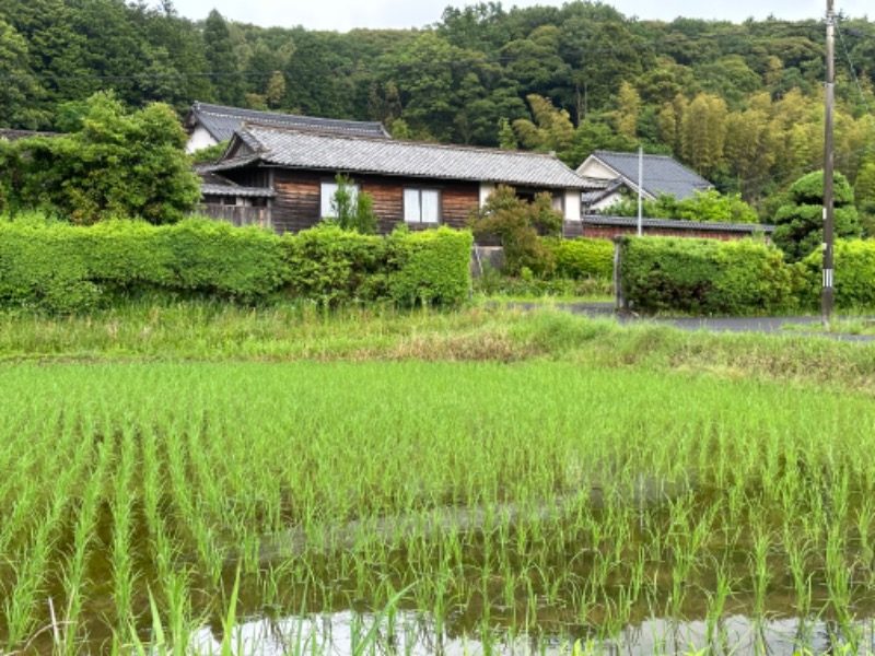 サウナで免疫上げるアラフォーしゃちょーさんの四季荘のサ活写真