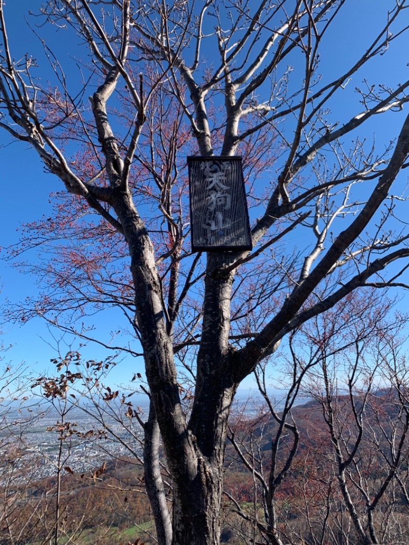 ミケネコロウリュさんの湯屋サーモンのサ活写真