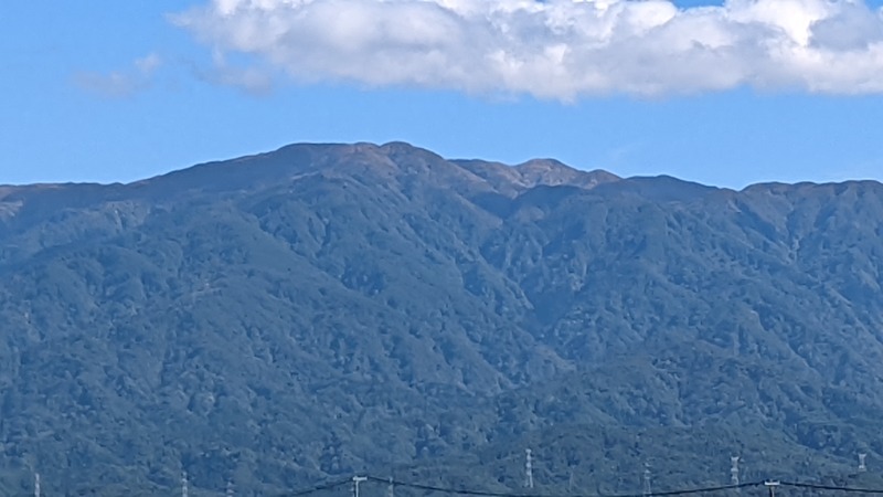 伊坂十蔵さんの百花の里 城山温泉のサ活写真